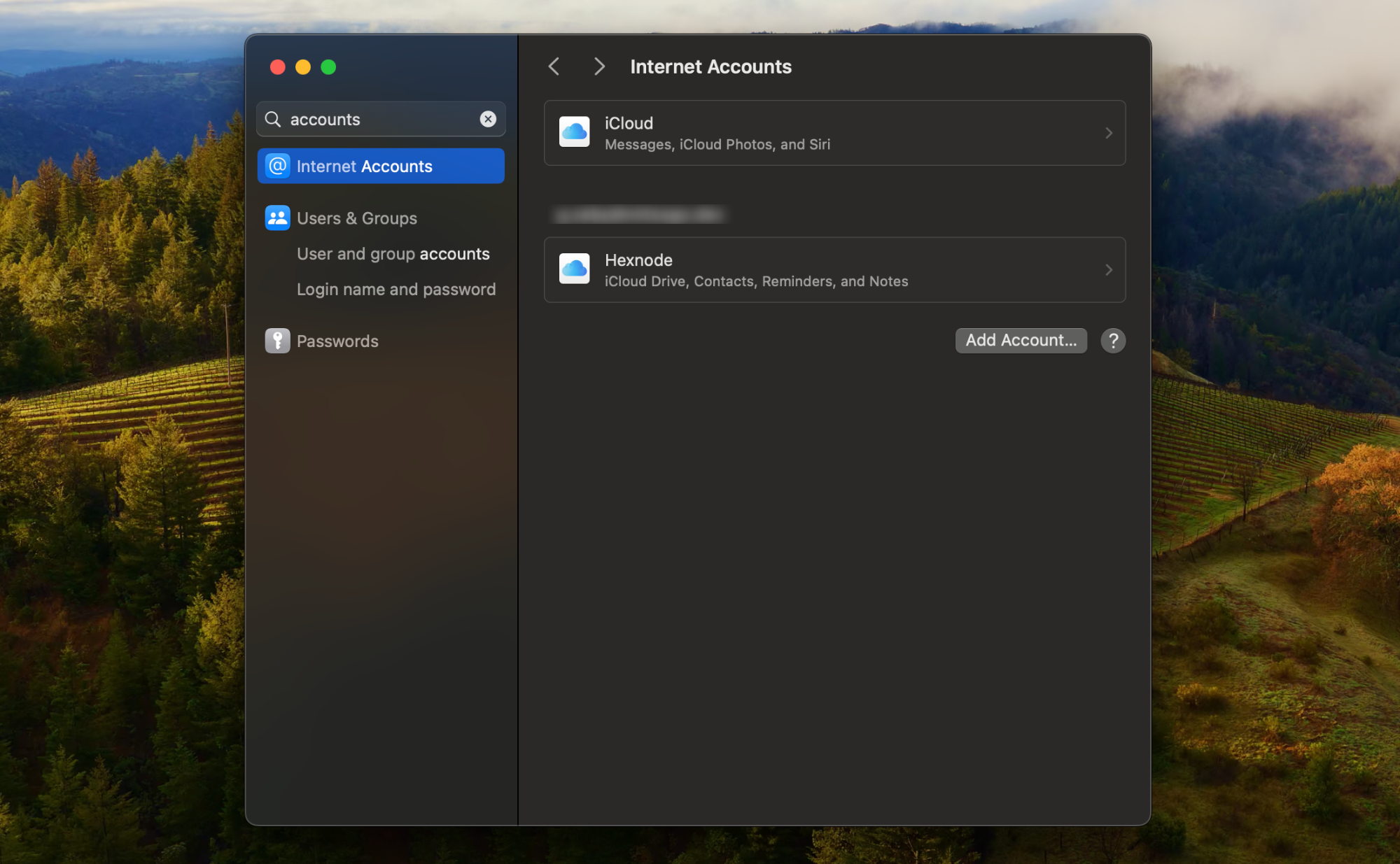 Personal and organization's iCloud accounts