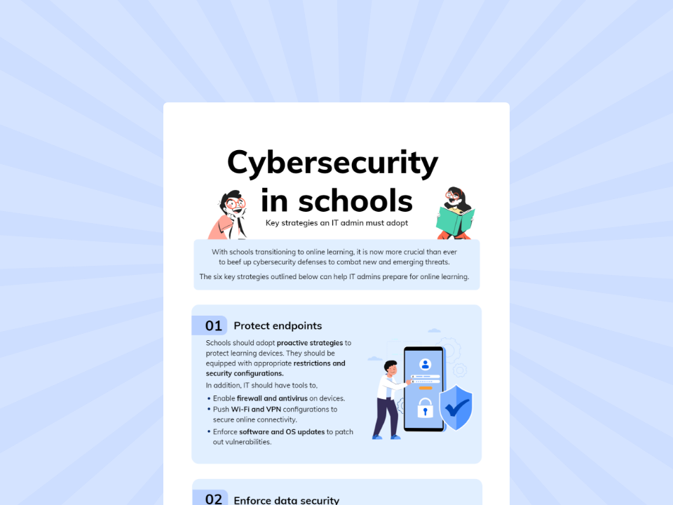 Cybersecurity in schools